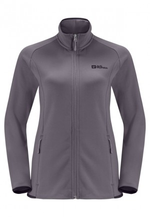 Vestes Polaires Jack Wolfskin Baiselberg Fz Femme Grise | 35566083
