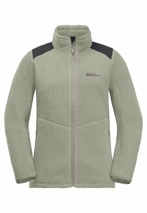 Vestes Polaires Jack Wolfskin Kammweg Pile Fz Femme Grise | 19175487
