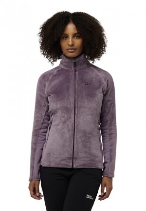Vestes Polaires Jack Wolfskin Rotwand Fz Femme Violette | 87367006