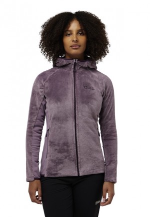 Vestes Polaires Jack Wolfskin Rotwand Hooded Fz Femme Violette | 71258681